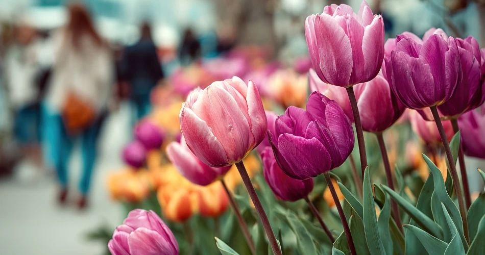 What’s On in Santa Barbara: Top Events This Year